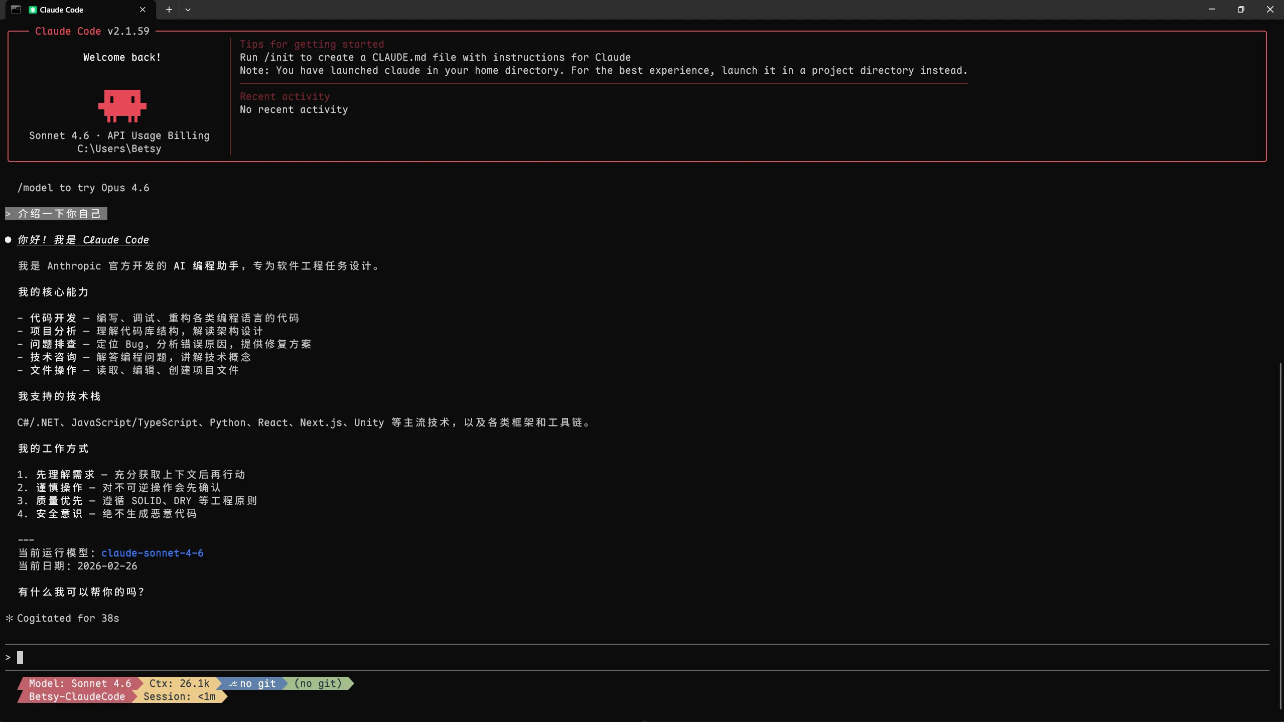 Claude Code 终端美化指南